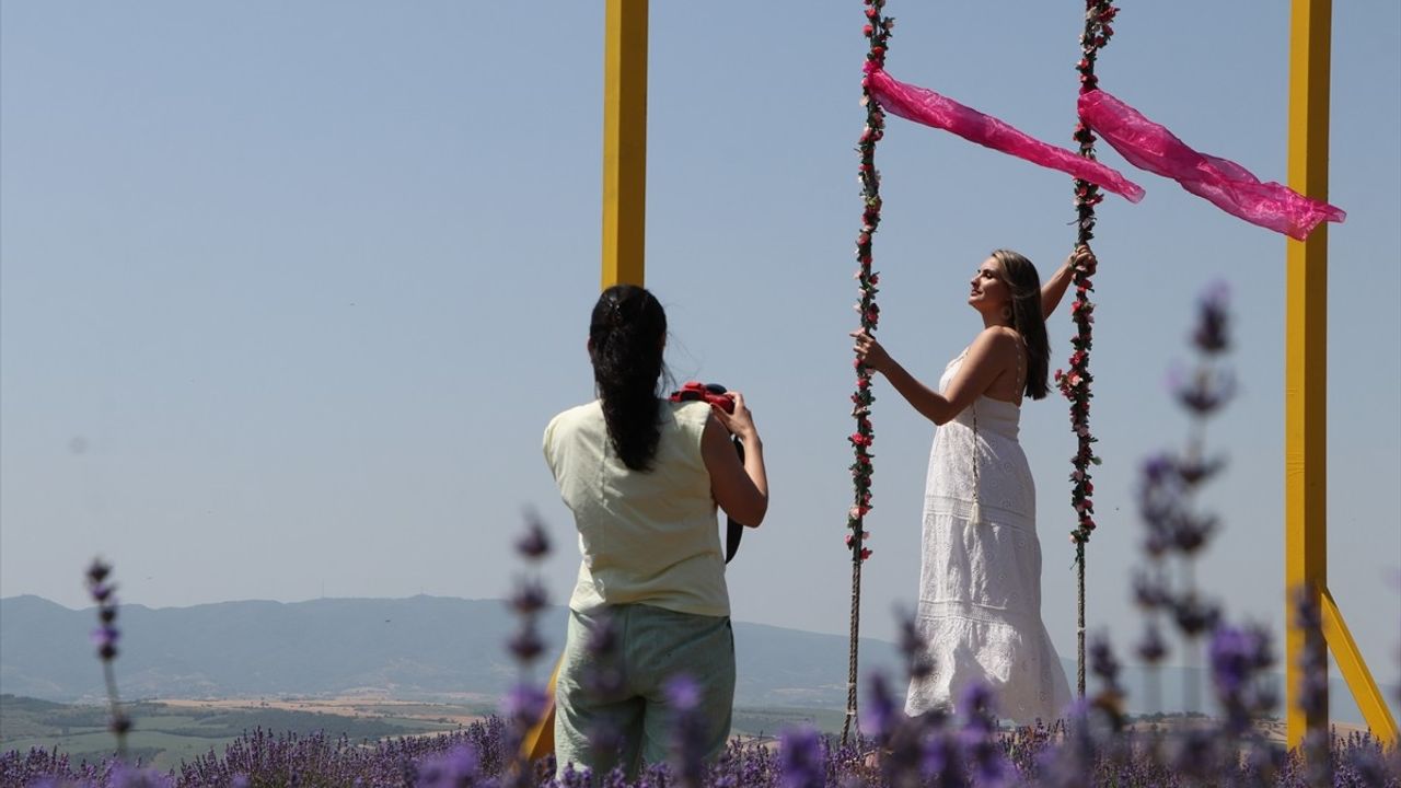 Tekirdağ’ın Lavanta Tarlaları Fotoğraf Tutkunlarının Gözdesi