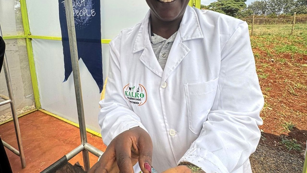 TİKA'nın Kenya'daki Hasat Sonrası İşleme Merkezi