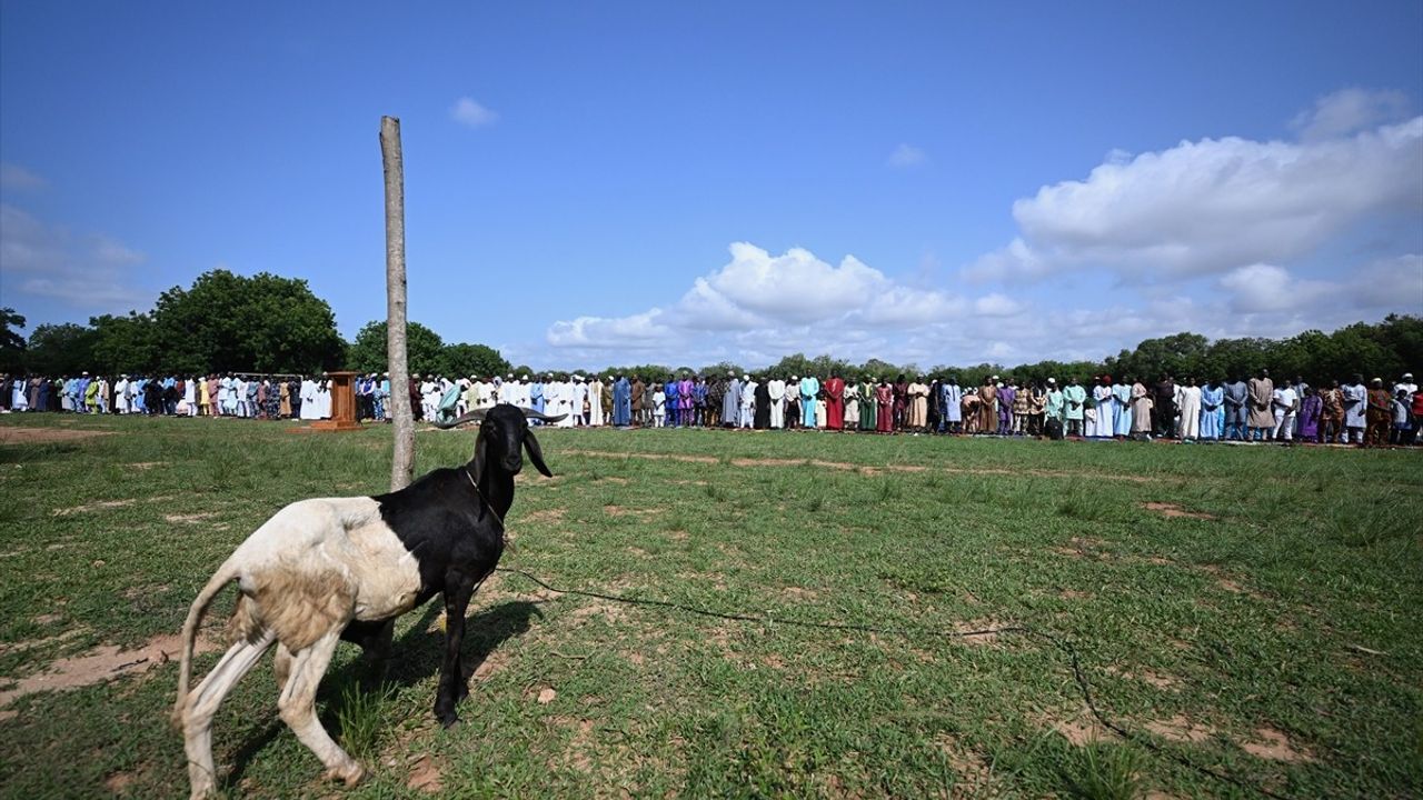 Togo'da Kurban Bayramı Coşkusu