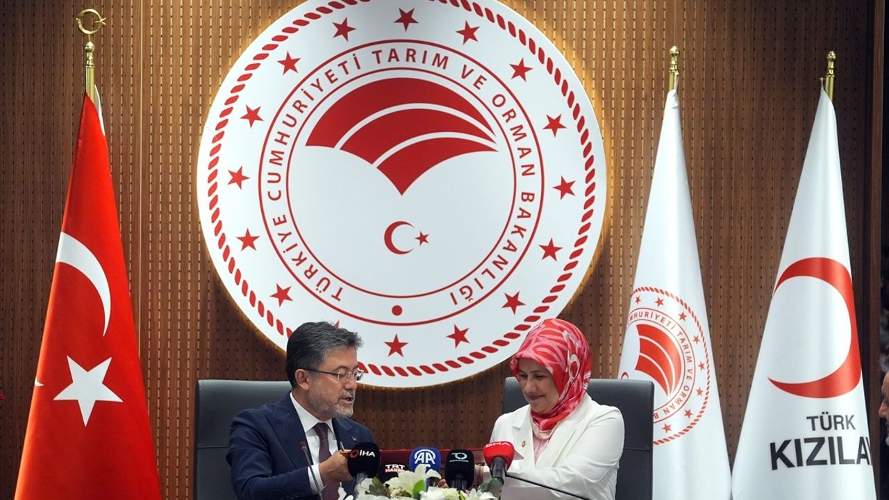 Türk Kızılay'dan Önemli Proje: Kan Bağışı ile Fidan Dikimi