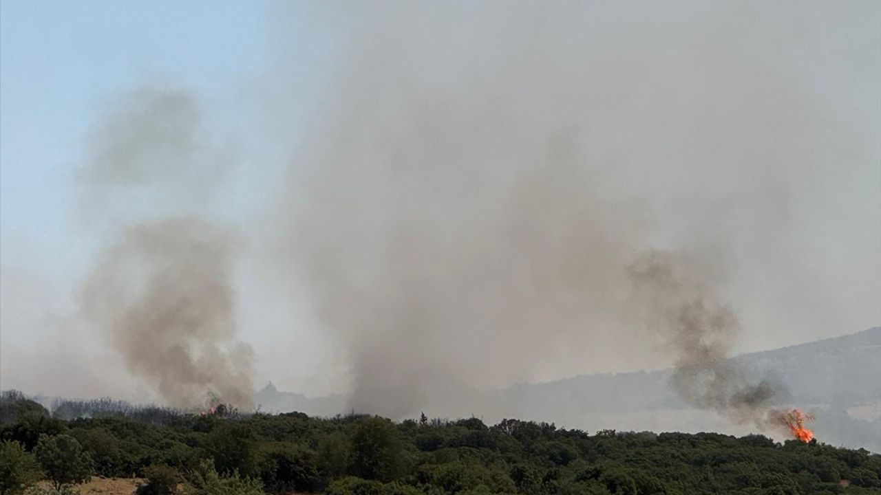 Uşak'ta yangın felaketi: Tarladan makiliğe sıçradı