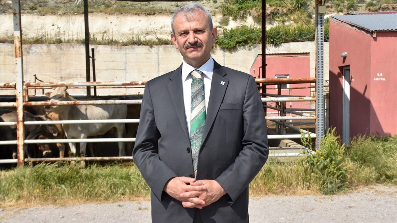 Van'da TDV ile 6,825 Hisse Kurban Kesimi Başladı