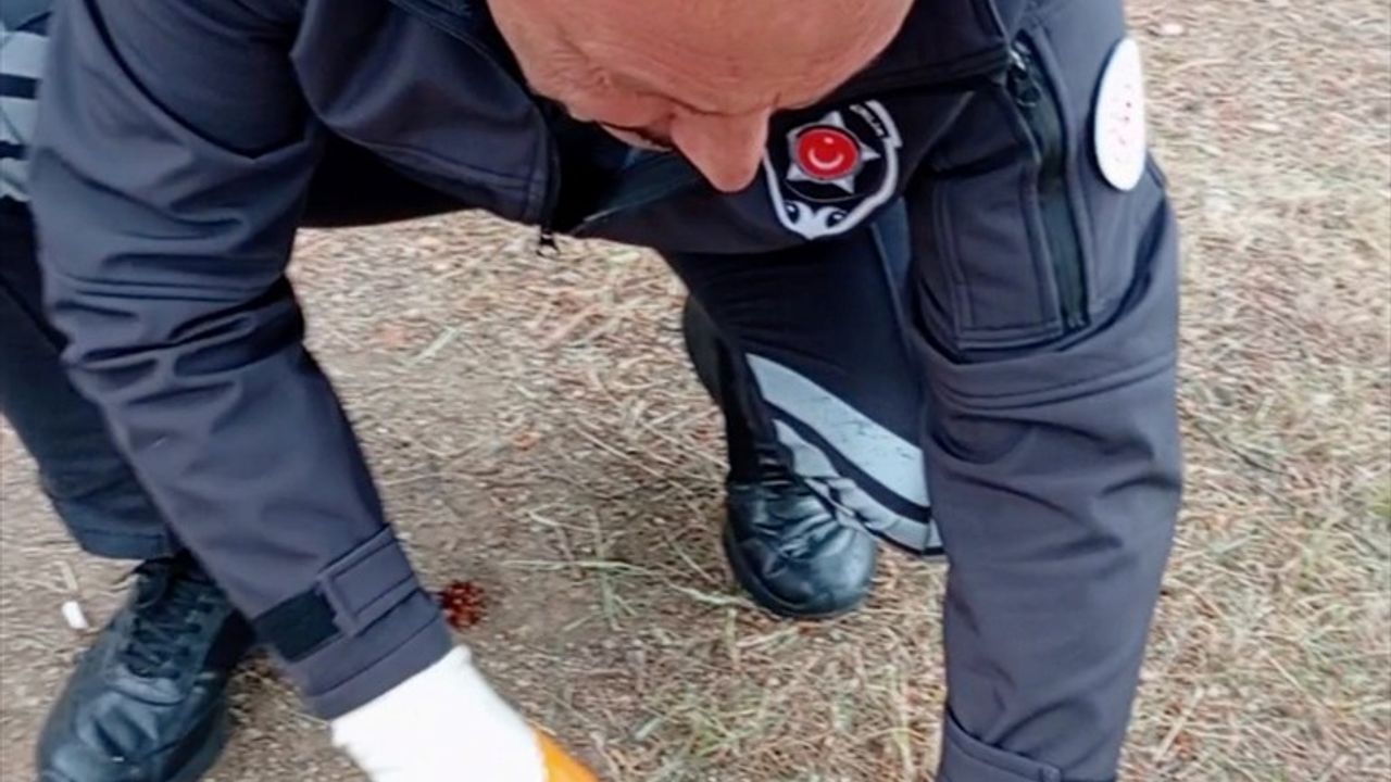 Yozgat'ta Kediyi Konserve Kutusundan Kurtaran Kahraman Güvenlik Görevlisi