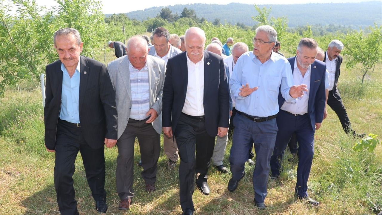 Zirai Dondan Etkilenen Tarım Alanları İncelendi
