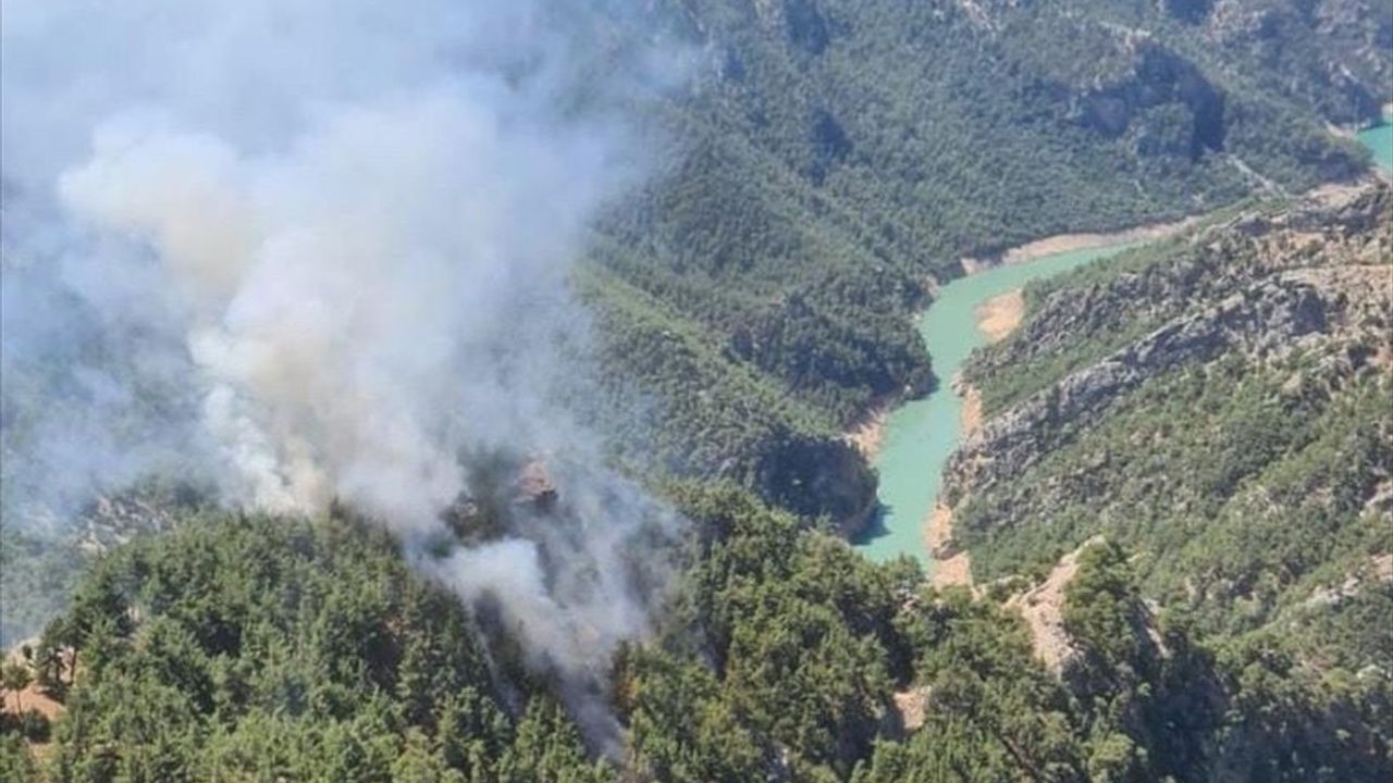 Adana'da Orman Yangını: Havadan ve Karadan Mücadele