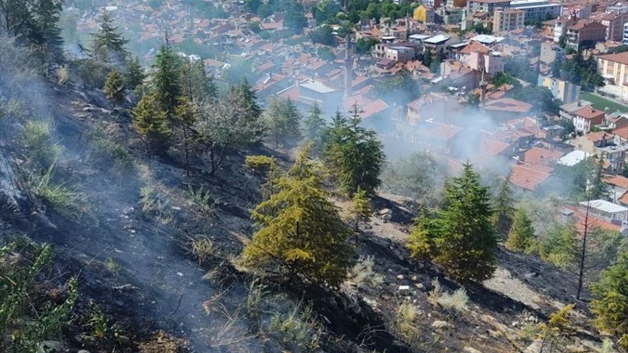 Afyonkarahisar'daki Ağaçlık Alanda Yangın Kontrol Altına Alındı