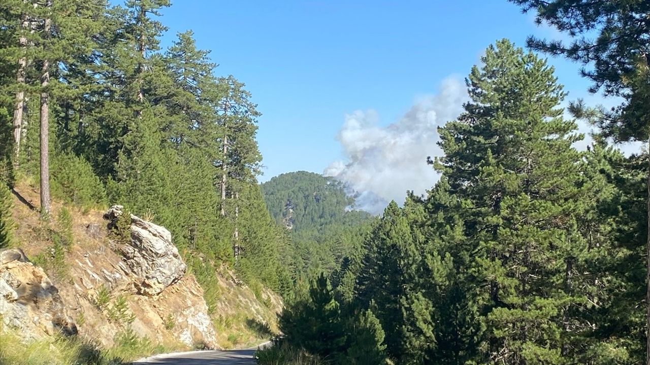 Alanya'da Orman Yangını Nezaret Altında
