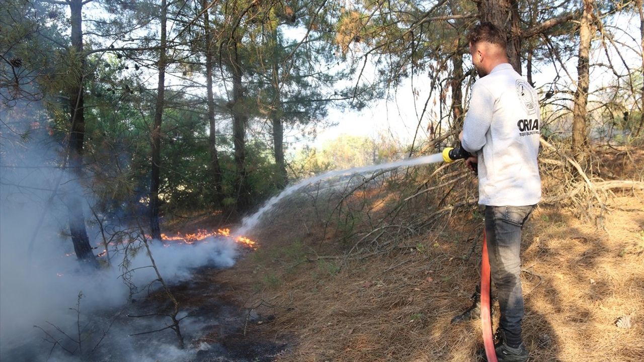 Amasya'daki Orman Yangını Kontrol Altına Alındı