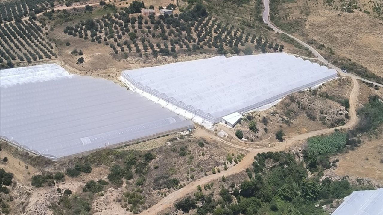 Antalya'da Yangınla Mücadele Sürüyor