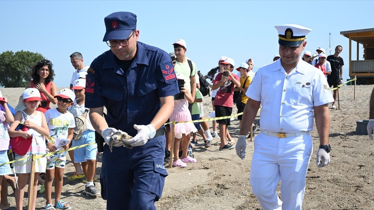 Antalya'da Yarani Caretta Caretta Yavrusu Denize Salındı