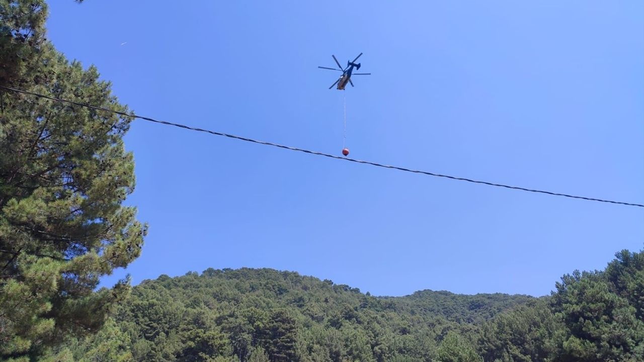 Antalya Kaş'taki Orman Yangını Kontrol Altında