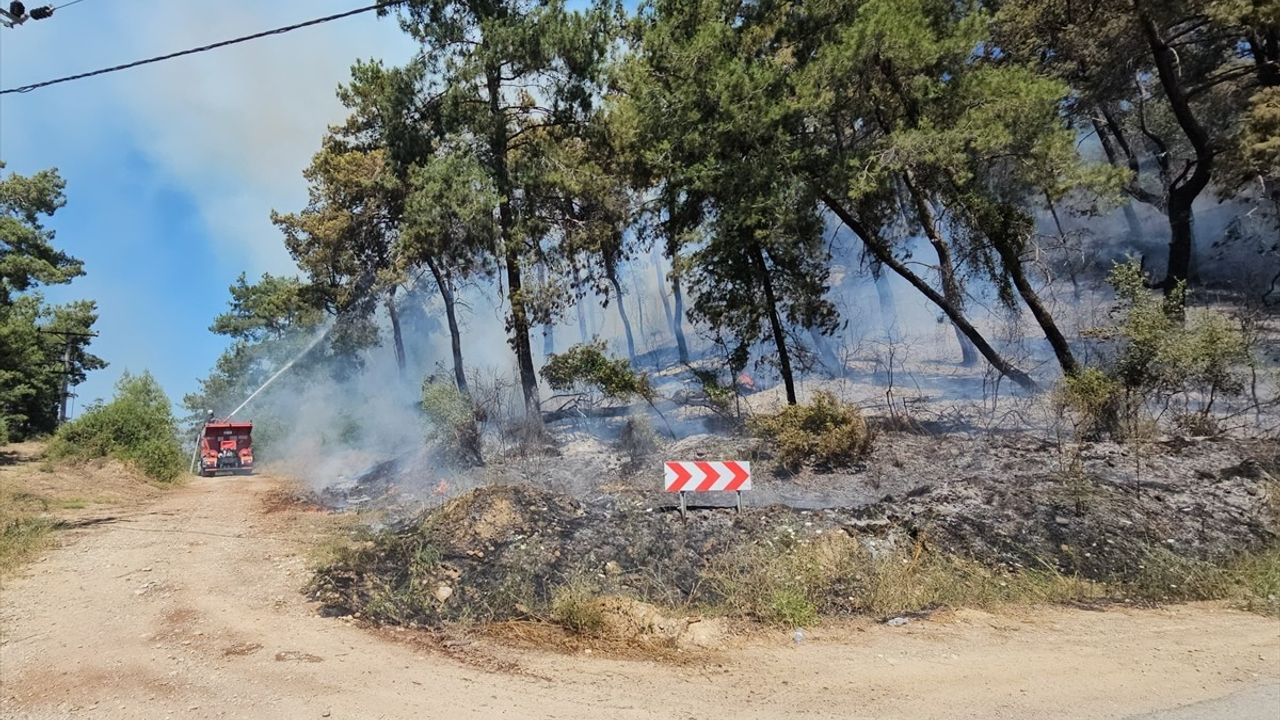 Antalya Manavgat'ta Orman Yangını Kontrol Altına Alındı