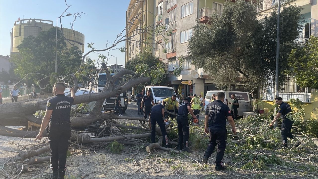 Aydın'da Ağaç Devrildi, İki Araç Zarar Gördü