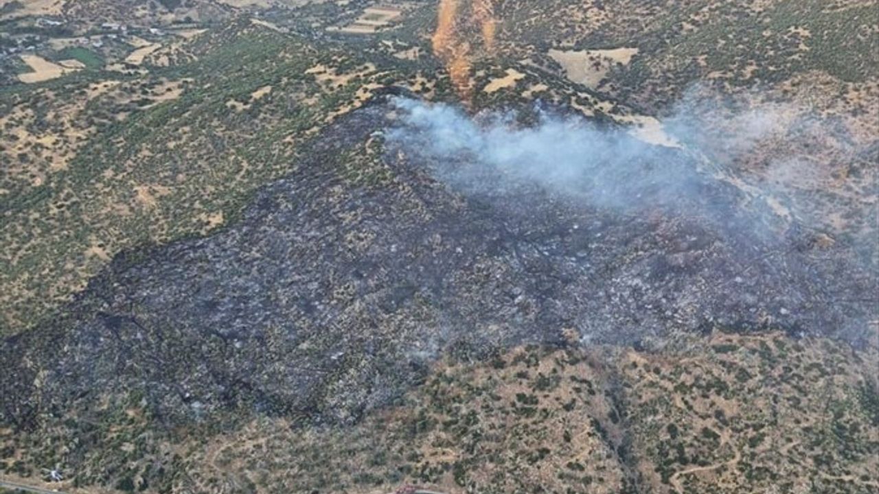 Aydın'da Makilik Alanda Yangın Kontrol Altına Alındı