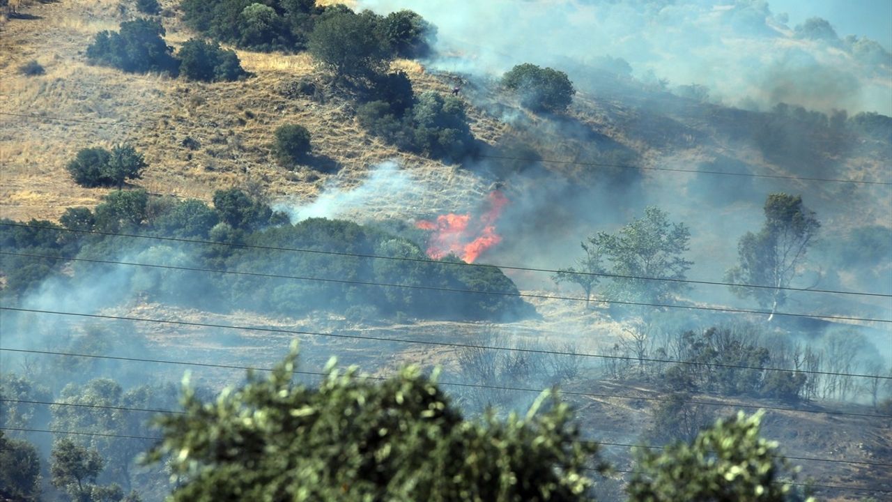 Aydın'da Zeytinlik Yangını: Baba ve Oğlu Gözaltına Alındı
