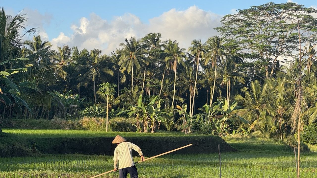 Bali'nin Sosyal Medya Turizmi: Gelenekten Dijital Dünyaya