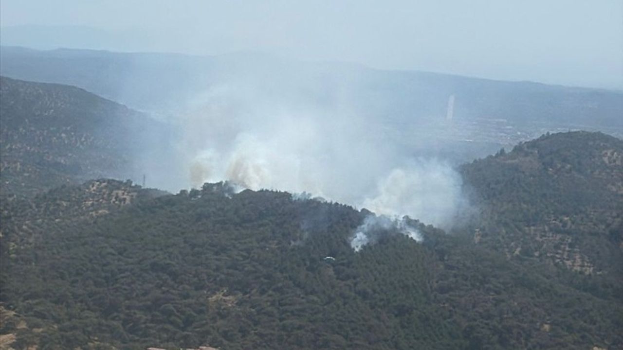 Balıkesir'de Yangınlar Kontrol Altına Alınıyor