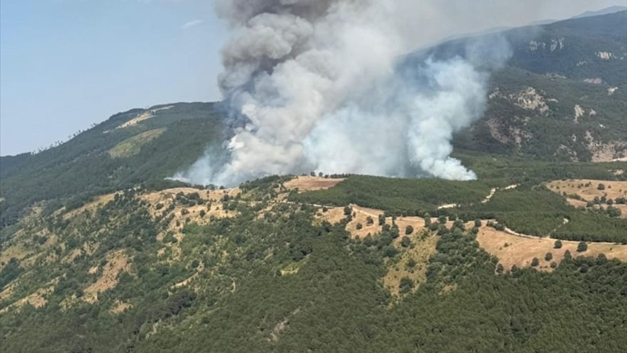 Balıkesir'deki Orman Yangınına Müdahale Devam Ediyor