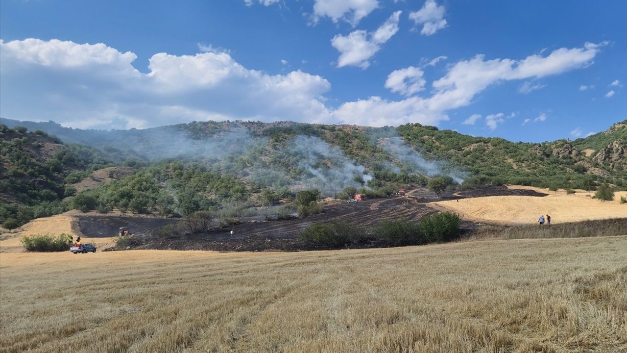 Bayat'ta Ormanca Yangın Kontrol Altına Alındı