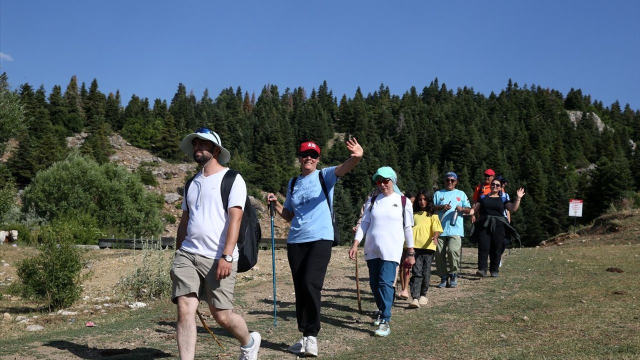 Berçin Yaylası: Doğaseverlerin Yeni Gözdesi