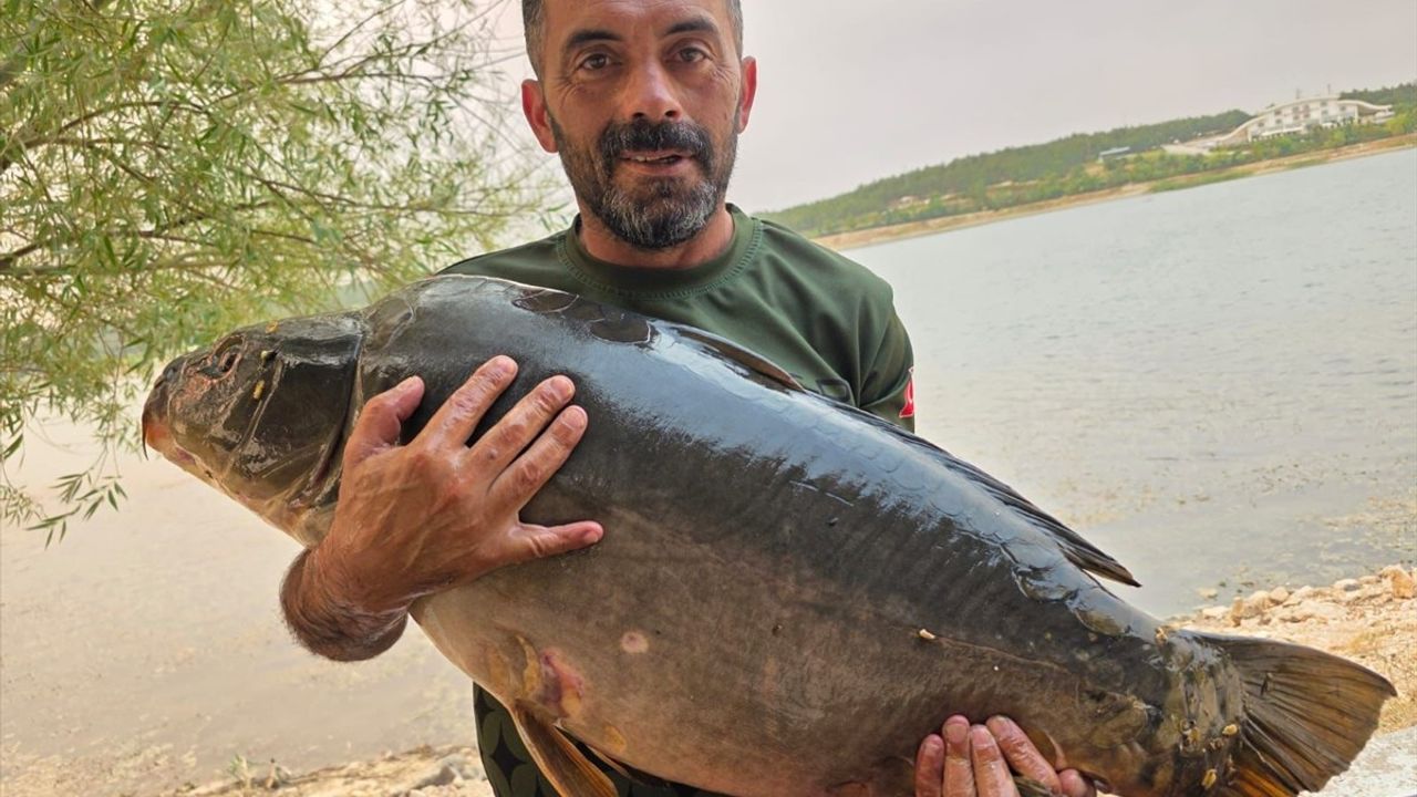 Bilecik'te Rekor Sazan Avı