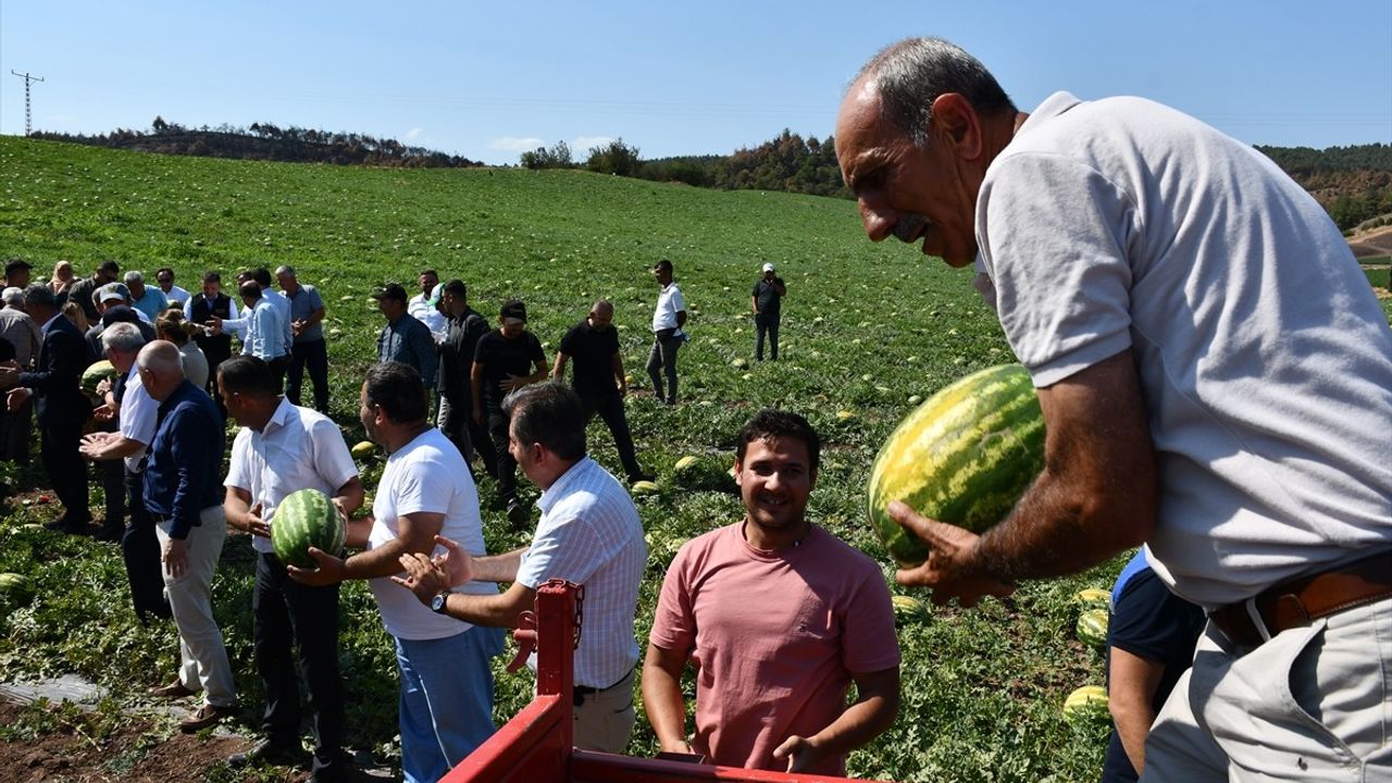 Bilecik'te Yangınlar Sonrası Tarım Destekleri