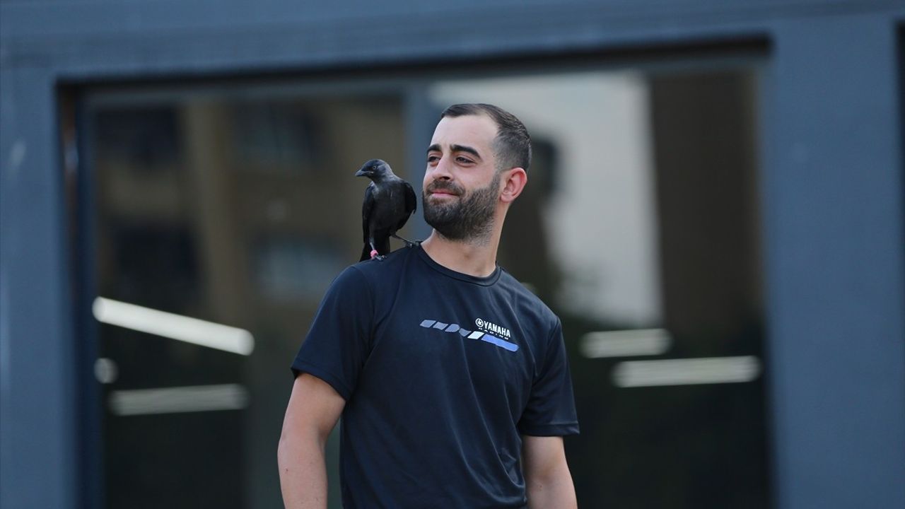 Bingöl'de Motosiklet Teknisyeninin Kargası: Şimşek