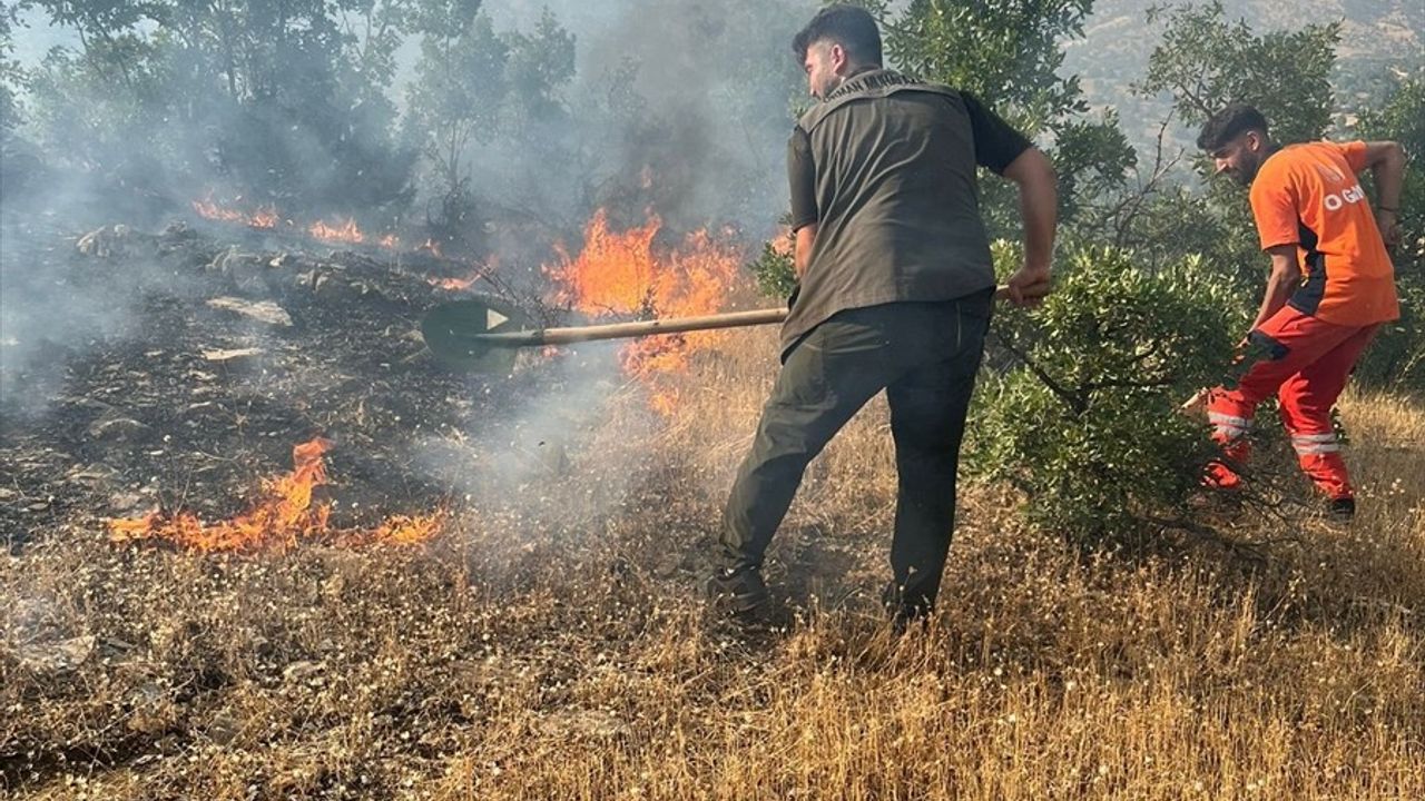 Bingöl'de Orman Yangınları Kontrol Altına Alındı
