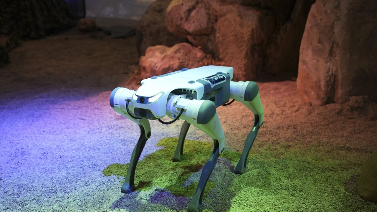 BİTES, IDEF 2025'te Robot Köpek Çözümlerini Tanıtacak