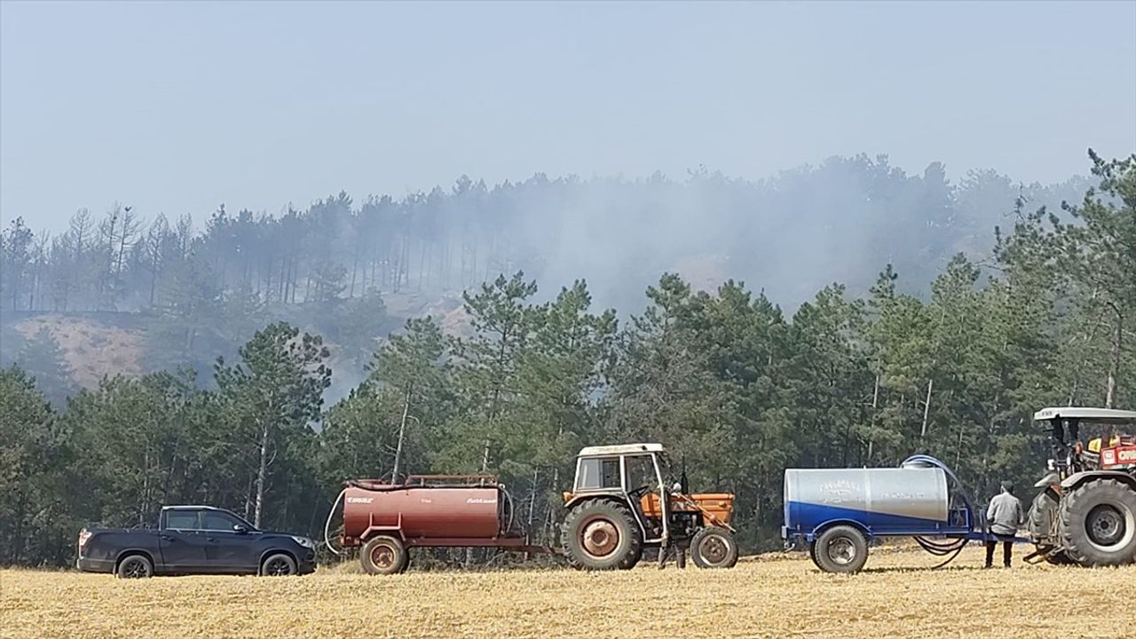 Bolu'daki Orman Yangınlarına Müdahale