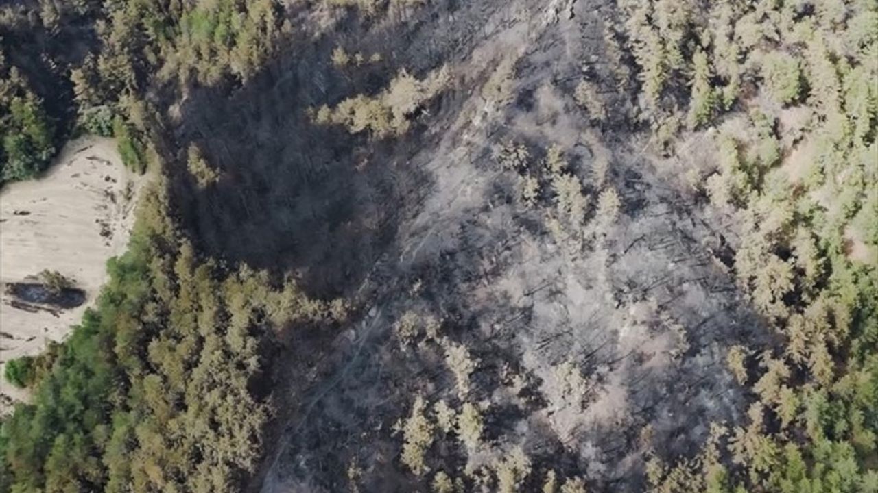 Bolu Göynük'teki Orman Yangını 35 Hektarlık Alanı Zarara Uğrattı