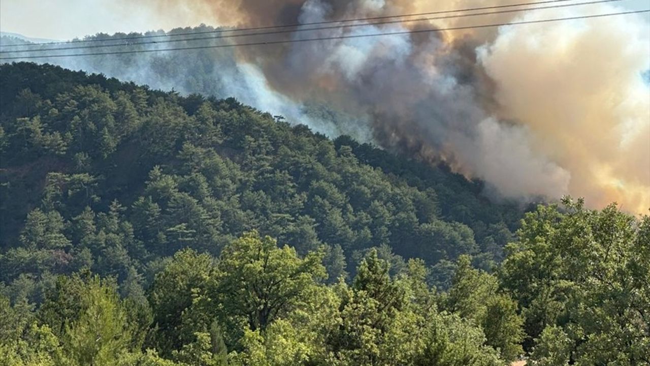 Bolu'nun Göynük İlçesinde Orman Yangınına Müdahale Devam Ediyor