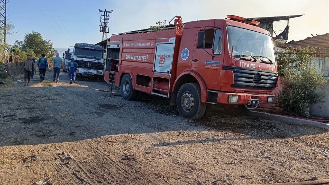 Bursa'da Et Üretim Çiftliğinde Yangın