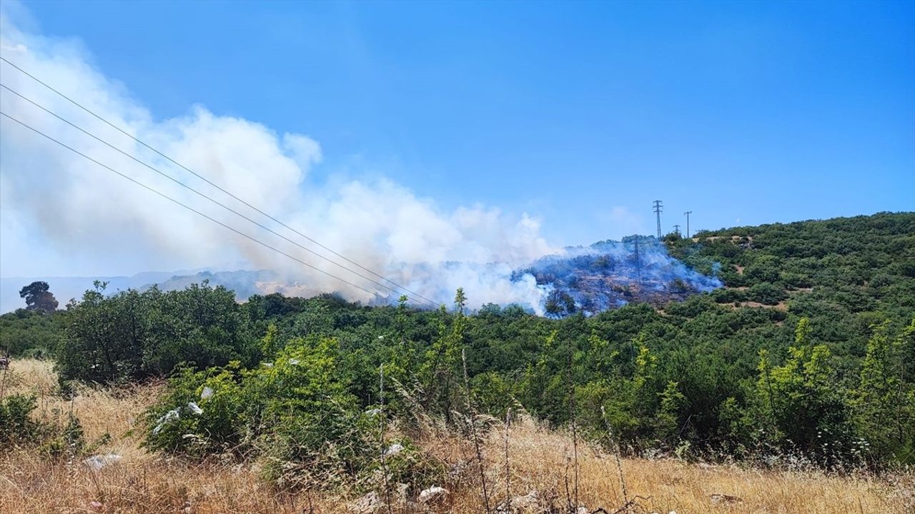 Bursa'da Orman Yangınına Hızla Müdahale Ediliyor