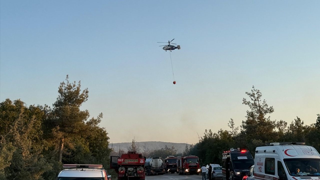 Bursa'da Orman Yangınına Şiddetli Müdahale