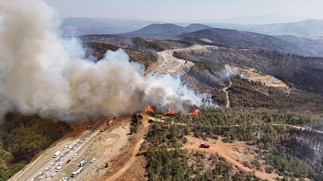 Bursa'daki Orman Yangını Üçüncü Günde Kontrol Altına Alınmaya Çalışılıyor
