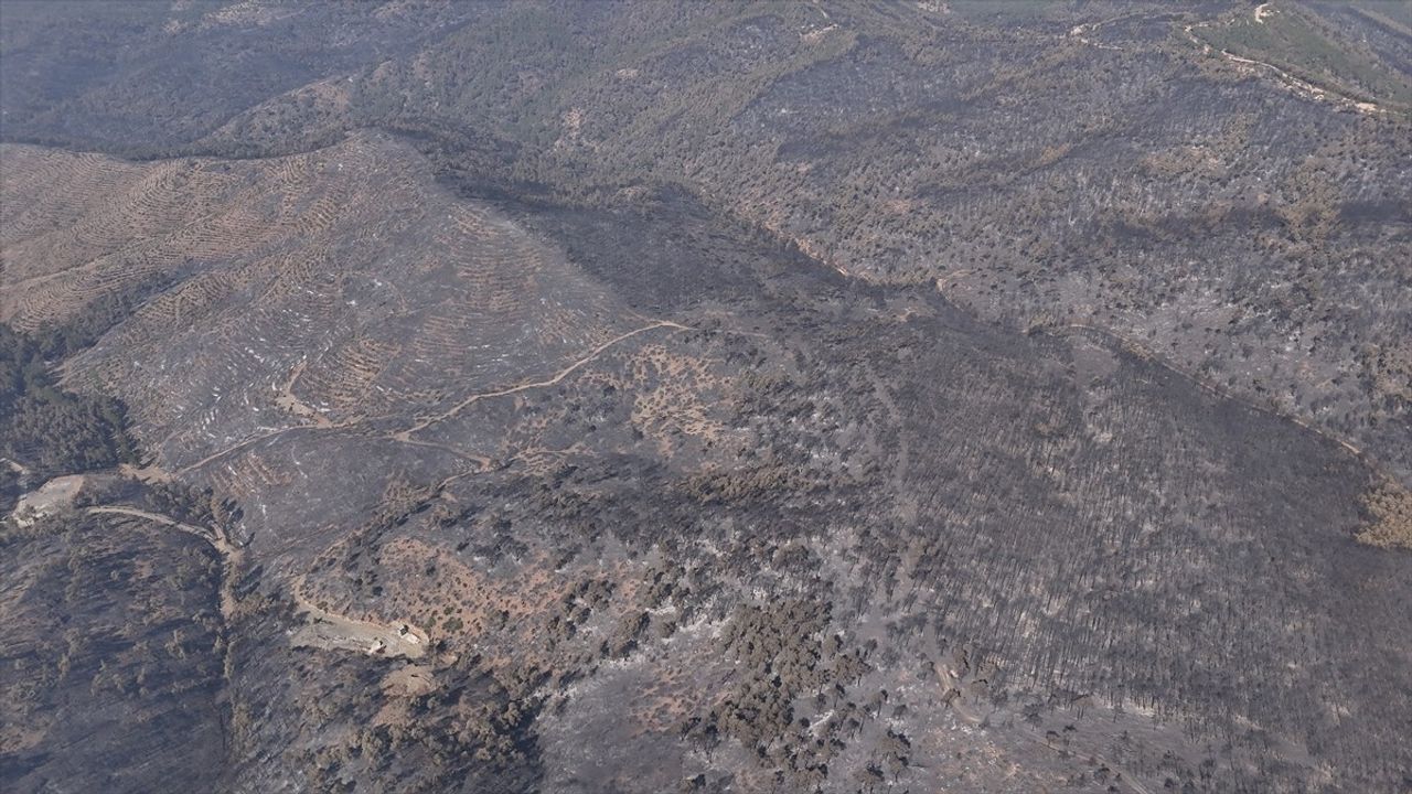 Bursa'daki Orman Yangınına 5. Gün Müdahale Devam Ediyor
