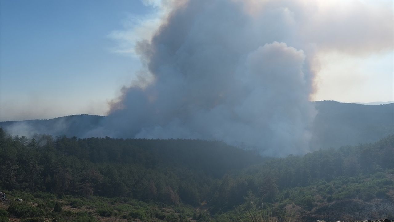 Bursa Orhaneli'deki Orman Yangınına Mücadele Devam Ediyor