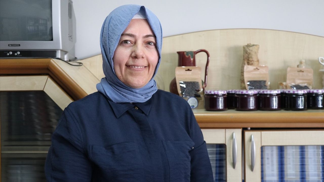 Bursalı Yaban Mersini Üreticileri İhracat Hedefliyor