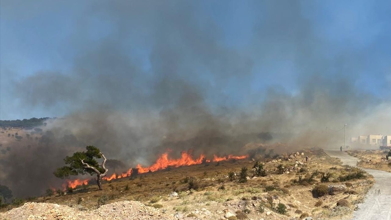 Çanakkale Ayvacık'ta Orman Yangınına Mücadele