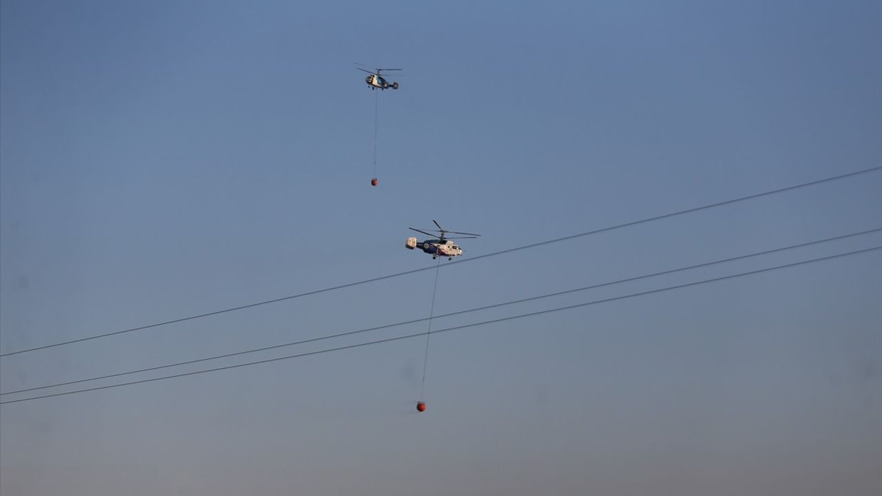 Çanakkale Ayvacık'taki Orman Yangını Kontrol Altına Alındı
