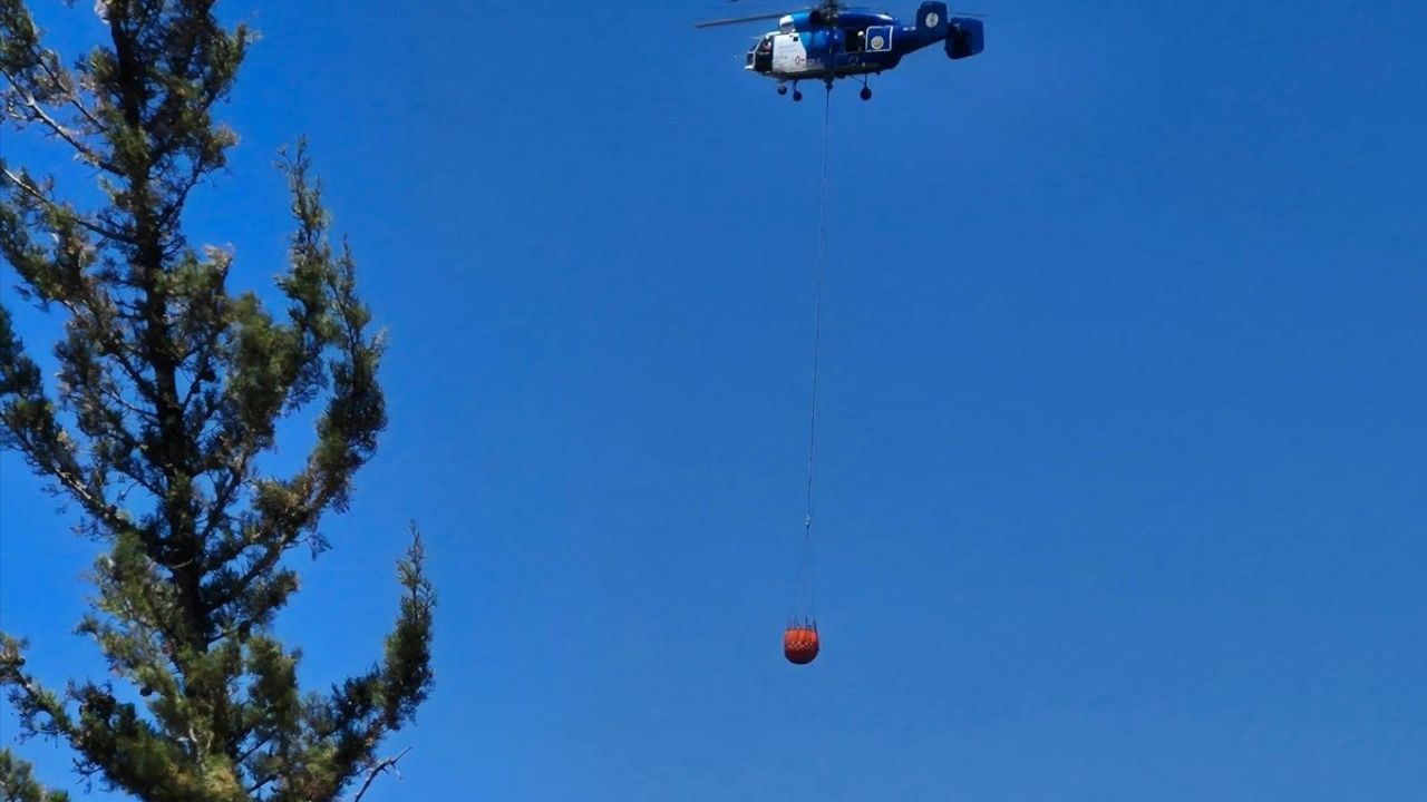 Çanakkale'de Orman Yangını Kontrol Altına Alındı