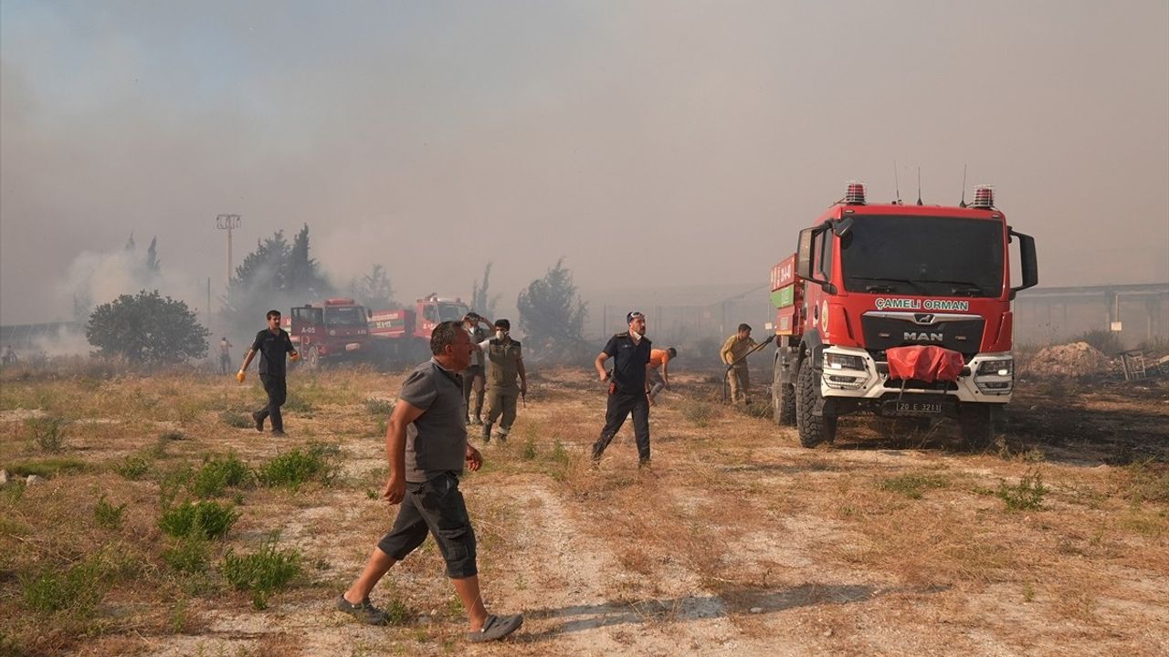 Çeşme'de Yangın'a Müdahale Ediliyor