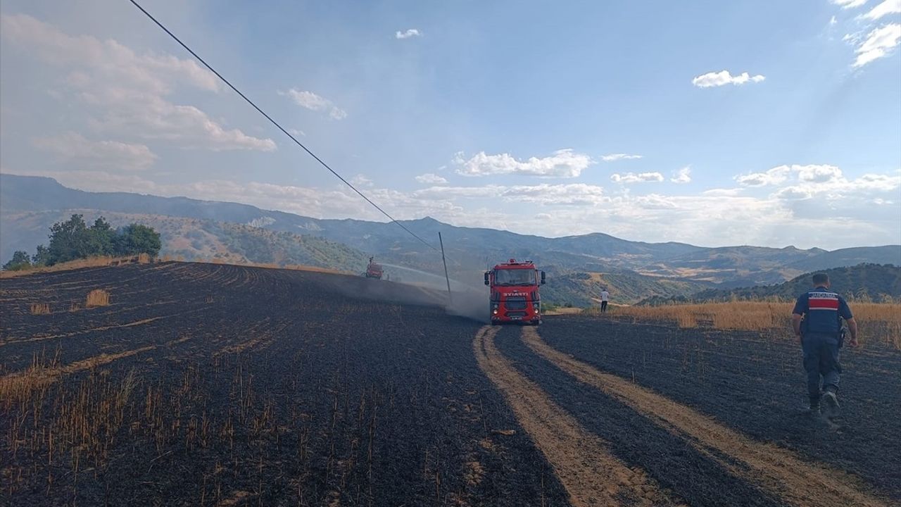 Çorum'da 25 Dönüm Buğday Tarlası Yangınla Zarar Gördü