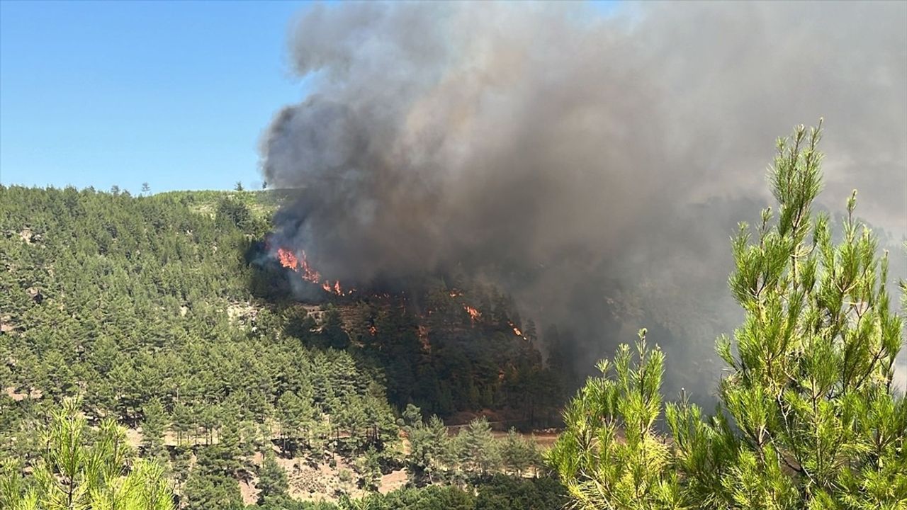 Denizli'de Anız Yangını Ormana Sıçradı