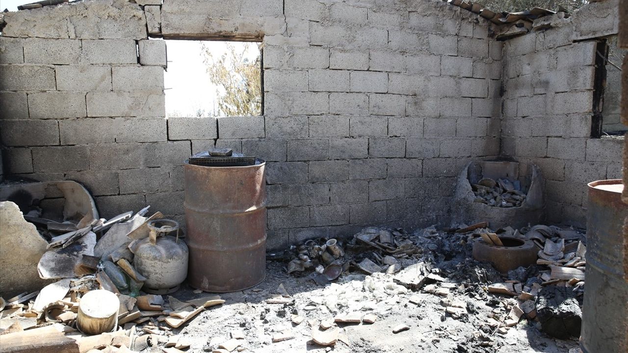 Deprem ve Orman Yangını: Aysel Erbaş'ın Zorlu Süreci