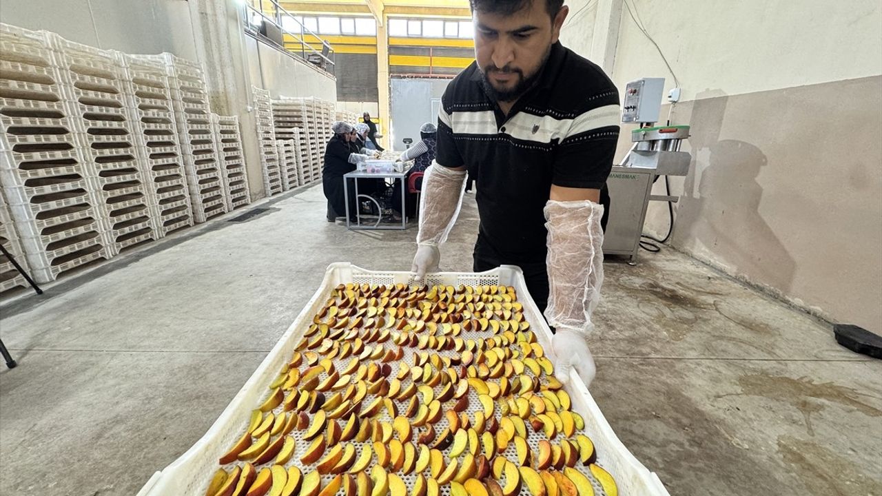 Depremzede Girişimci Kadın Meyve ve Sebzeleri İhracata Taşıyor