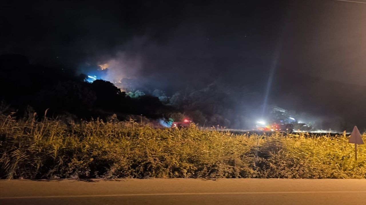 Dikili'de Yangın Alarmı: Çöplükte Başladı, Makiliğe Sıçradı