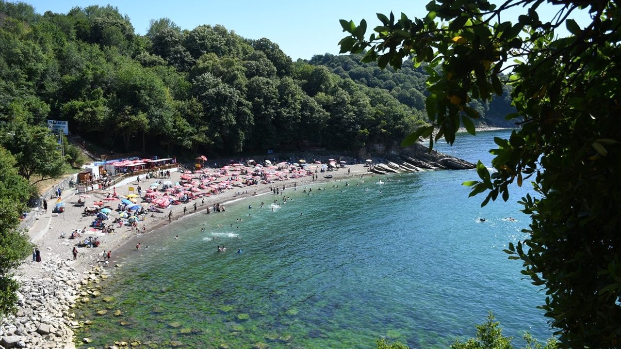 Düzce'nin Sahilleri Sıcak Havada Dolup Taştı