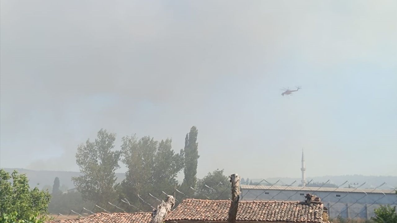 Edirne'de Orman Yangını Söndürüldü: 4 İtfaiye Erinin Yaralandığı Olay